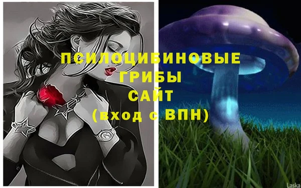дживик Вязники