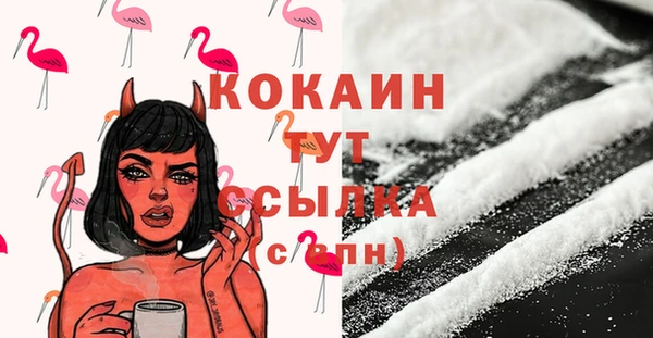 мяу мяу мука Горно-Алтайск