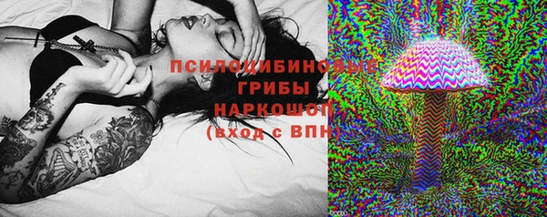 spice Вязьма