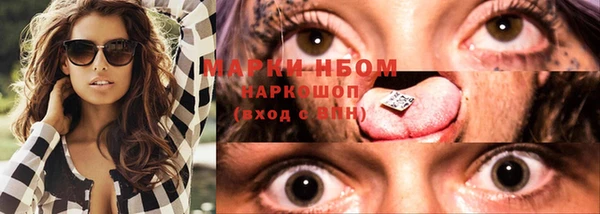 мяу мяу мука Горно-Алтайск